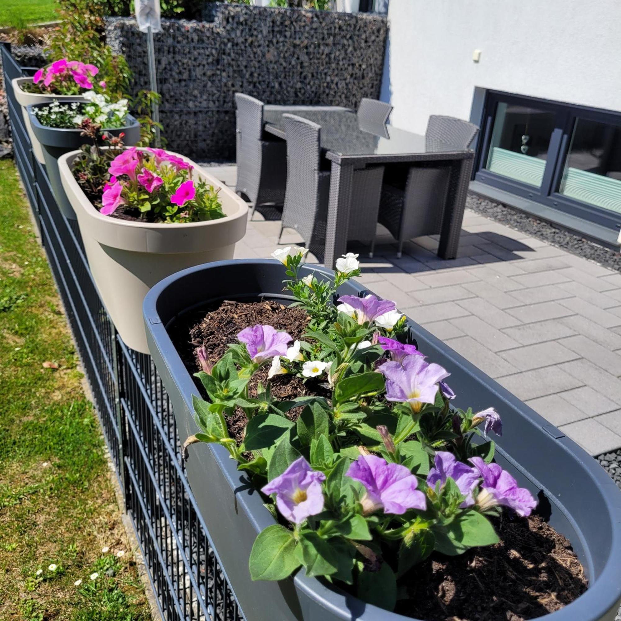 Eifelherz Mit Sonnenterrasse Nideggen Exterior photo